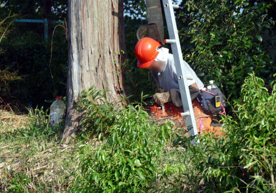 温度計センサー革命：未来の温度監視技術を探る旅